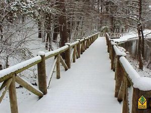 crowley's ridge state park snow