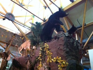 delta rivers nature center bear