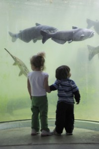 delta rivers nature center kids