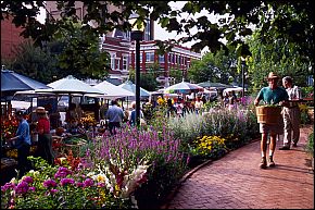 Fayetteville Square
