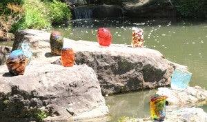 View at Koi Pond. Photo by Z. Clift.