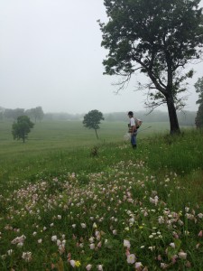 natureterrenoirezc