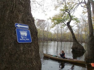 Kirsten Bartlow, director of the Arkansas Water Trails project, paddles Bayou DeView. Photo by Flip Puttoff. 