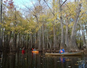 Bayou DeView. Photo by Flip Puttoff. 