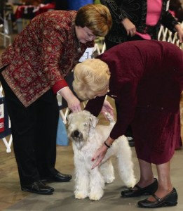 southeast arkansas kennel club2