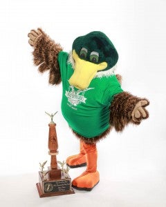 stuttgart duck 2013