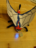 tinkering_June_butterfly