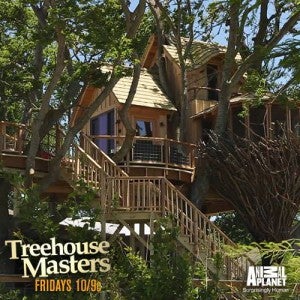 treehouse masters2