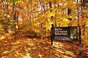 village creek fall hiking