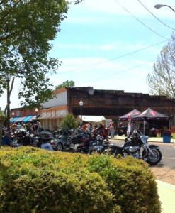 wild hog 2014