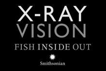 xrayvision_logo